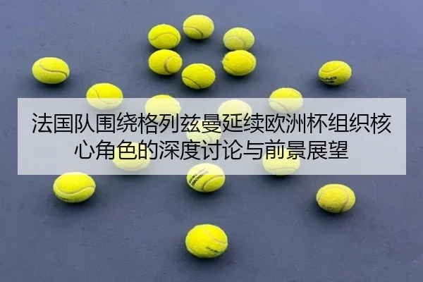 法国队围绕格列兹曼延续欧洲杯组织核心角色的深度讨论与前景展望
